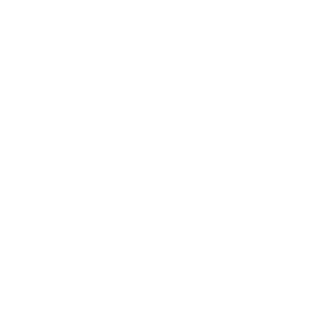 logo tornitori guarantee